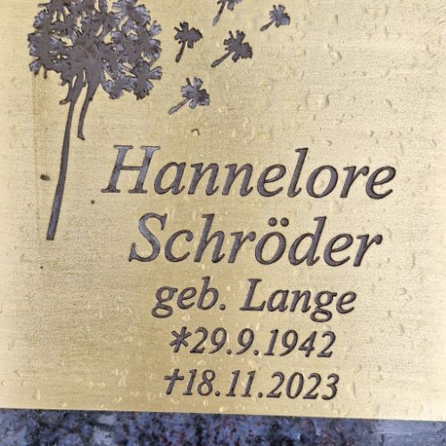202501_Rasengraeber_0004 202501_Rasengraeber_0004