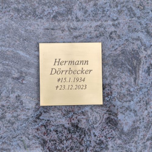 202501_Rasengraeber_0006 202501_Rasengraeber_0006