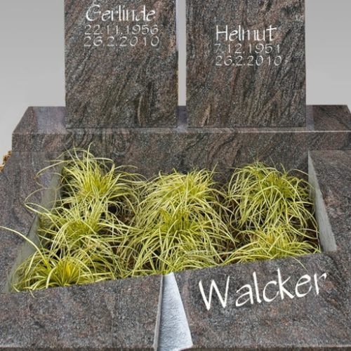 202310_Urnengraeber_0006 202310_Urnengraeber_0006