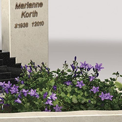 202310_Urnengraeber_0009 202310_Urnengraeber_0009