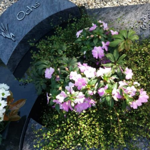 202310_Urnengraeber_0042 202310_Urnengraeber_0042