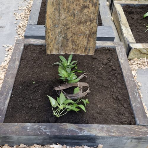 202402_Urnengraeber_0037 202402_Urnengraeber_0037